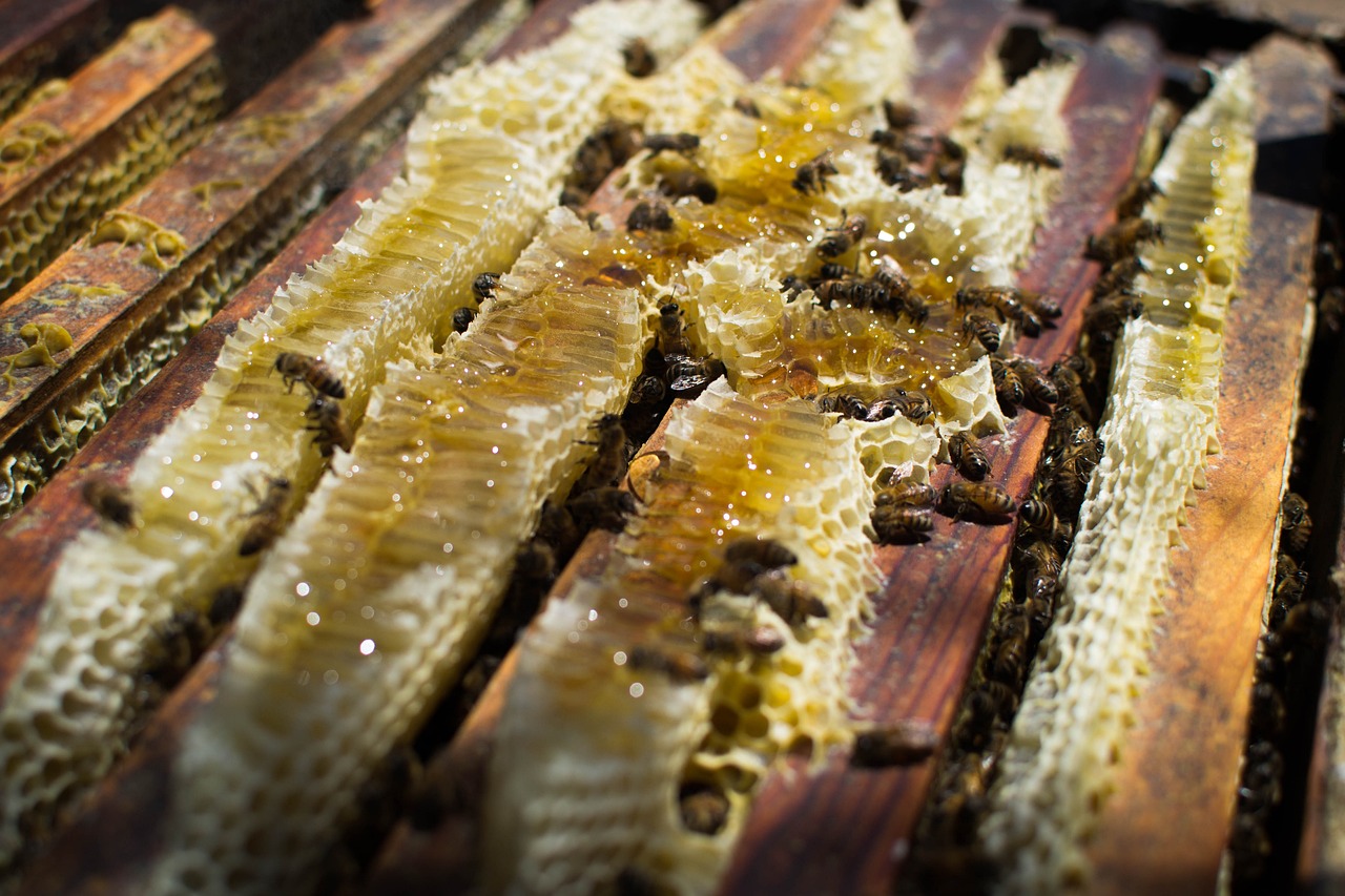 The Importance of Beekeeping in Eco-Friendly Gardens